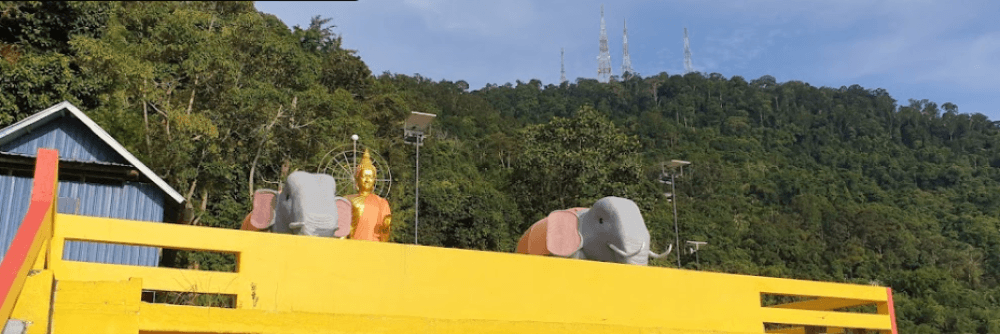 PERSATUAN BUDDHA VIVEKAVANA PULAU PINANG