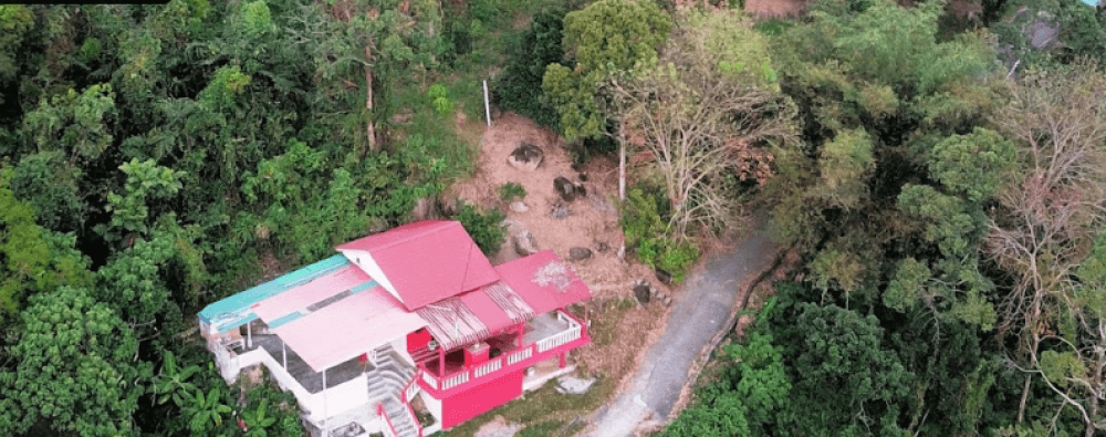 KIM SUA TUA PEK KONG BUKIT MERTAJAM